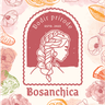 Logo firme Bosanchica Dodir Prirode d.o.o